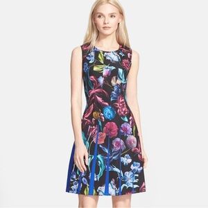 Ted Baker London 'Edelfi' Floral Print Pleated Fit & Flare Dress
 sz 1